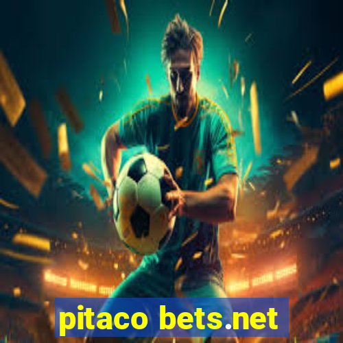 pitaco bets.net